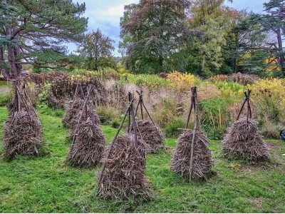 Стоп, це не сміття! Створюємо сучасні готелі для комах з садових відходів