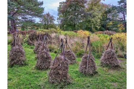 30+ фото сучасних готелів для комах з садових відходів