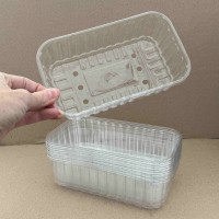 *Лоток для розсади 10 шт